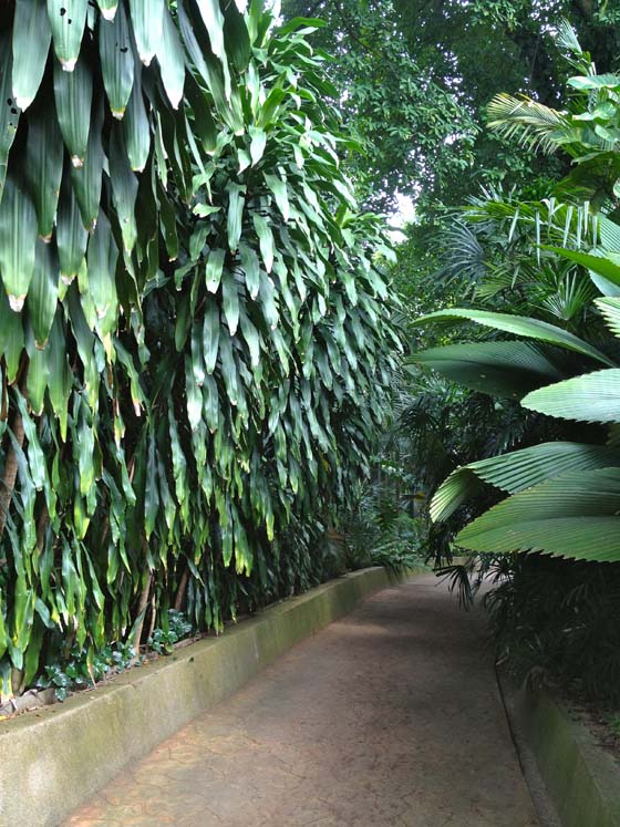 Creative Adventure at the Kuala Lompur Orchid Garden